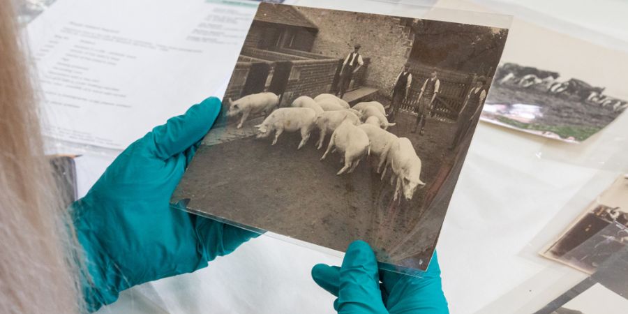 Someone holding an old photograph.